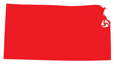 Introducing Pro Alpha
