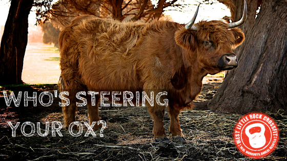 Who’s Steering The Ox?